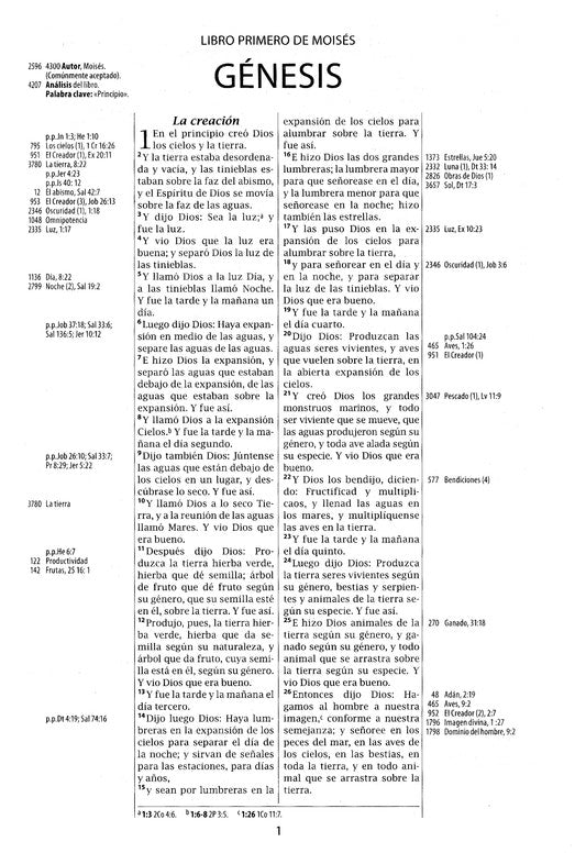 RVR 1960 Biblia de Referencia Thompson Gris Duotono con Indice (Thompson Chain Reference Bible  Gray Duo-Tone)