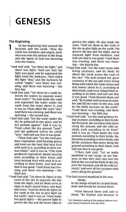 NIV Value Thinline Bible Turquoise