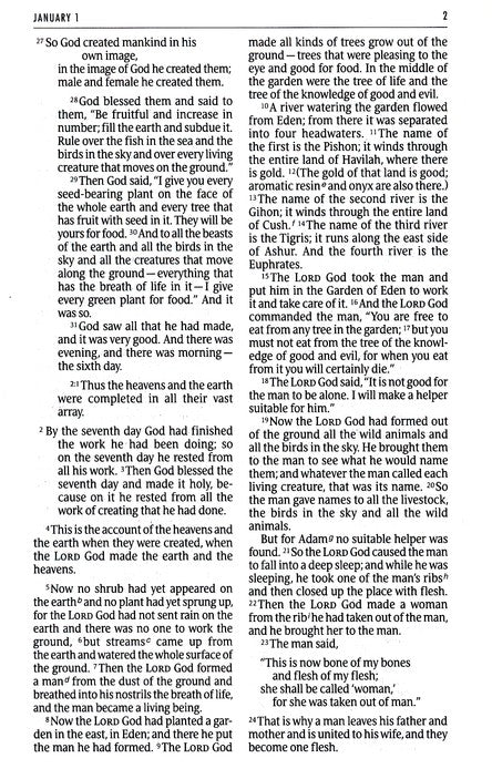 The One Year Bible NIV, Premium Slimline Large Print edition