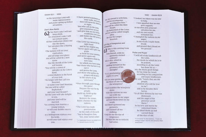 NIV Pew & Worship Bible Large Print Black (Church Bible)