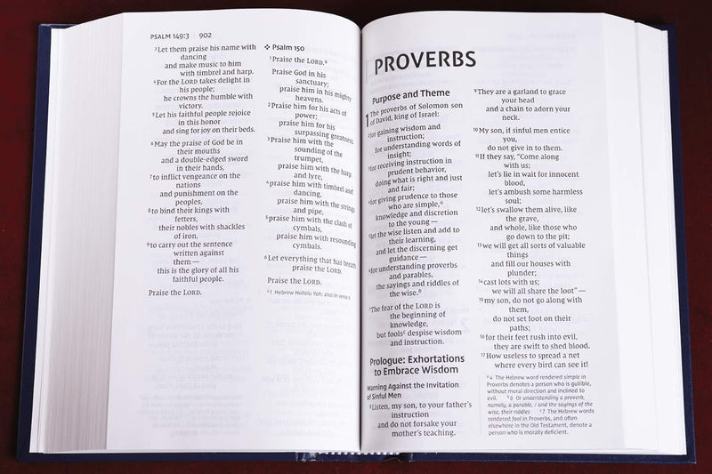 NIV Pew & Worship Bible Large Print Navy