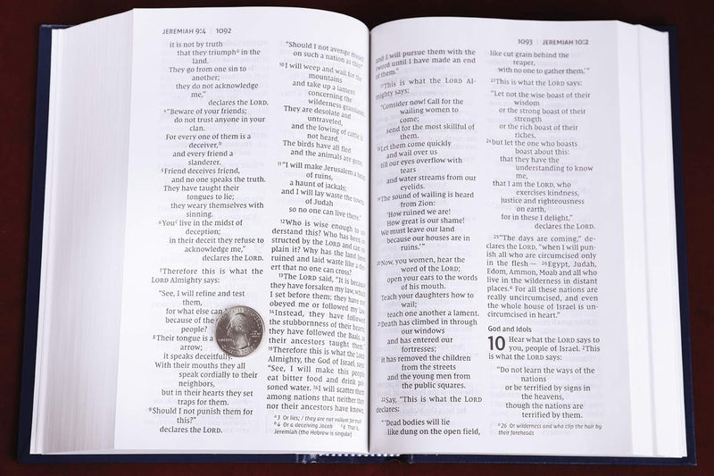 NIV Pew & Worship Bible Large Print Navy