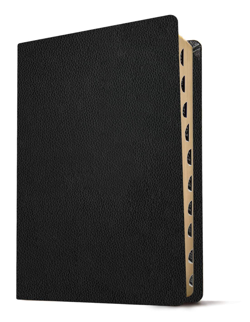 KJV Personal Size Giant Print Bible, Filament Enabled, Black Genuine Leather, Indexed