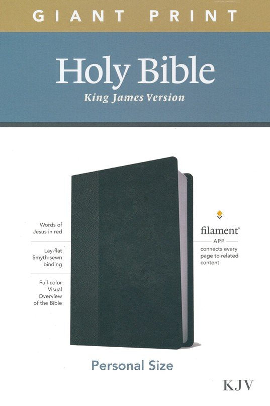 KJV Personal Size Giant Print Bible Black/Onyx