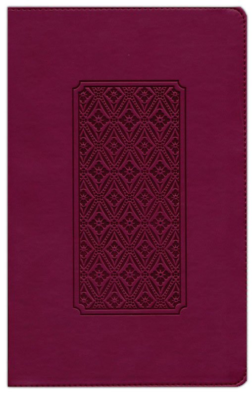 KJV Personal Size Giant Print Bible, Cranberry Indexed