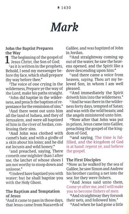 KJV Personal Size Giant Print Bible, Cranberry Indexed