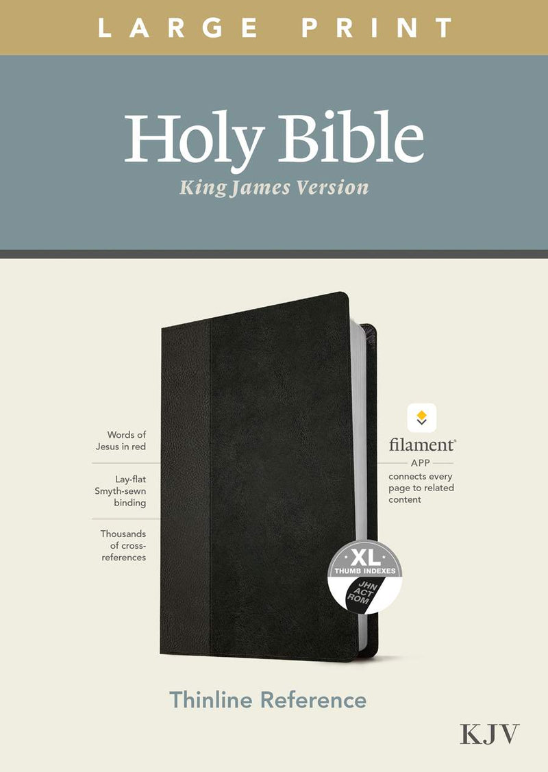 KJV Thinline Large Print Reference Bible, Black Onyx Soft Leather-look, Indexed
