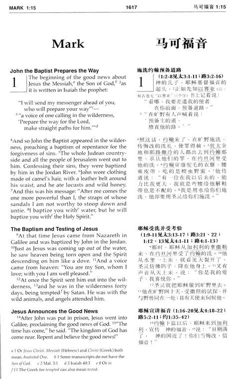 Chinese/English Bilingual Bible CUV/NIV
