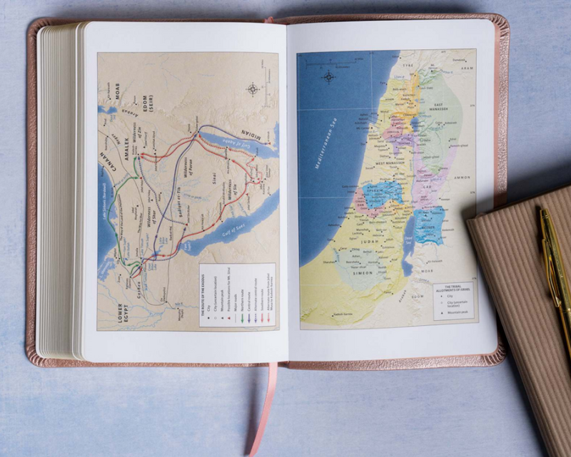 NASB Personal Size Bible 2020 Rose Gold Leathertouch