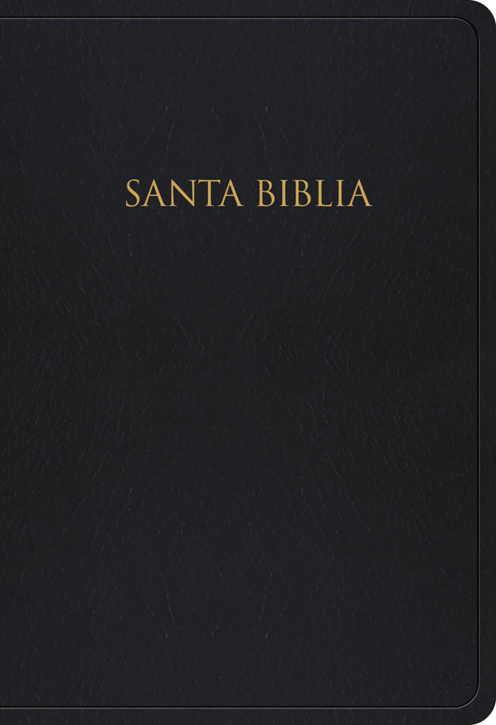 RVR 1960 Biblia para Regalos y Premios (RVR 1960 Gift And Award Bible) Black Leathertouch