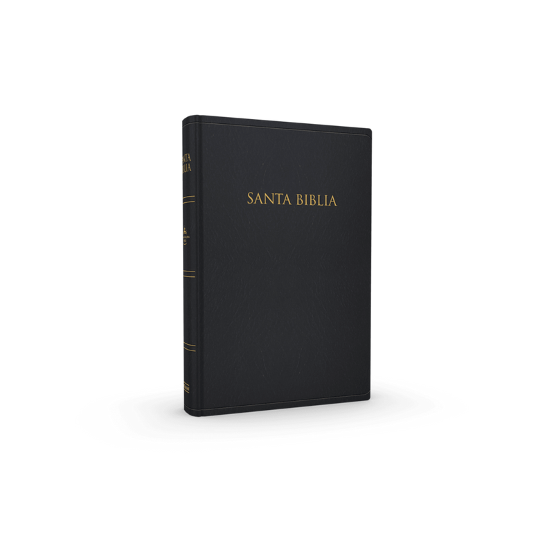 RVR 1960 Biblia para Regalos y Premios (RVR 1960 Gift And Award Bible) Black Leathertouch