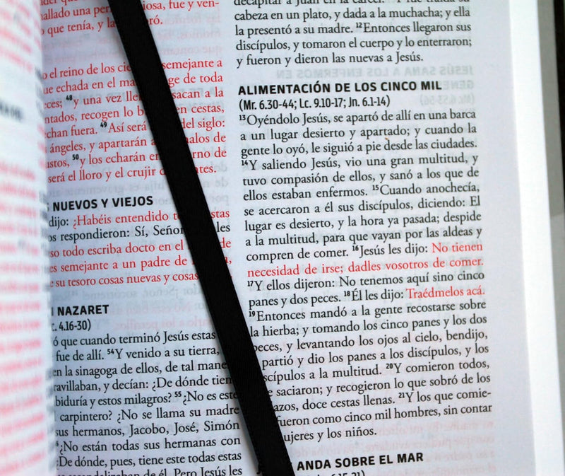 RVR 1960 Biblia para Regalos y Premios (RVR 1960 Gift And Award Bible) Black