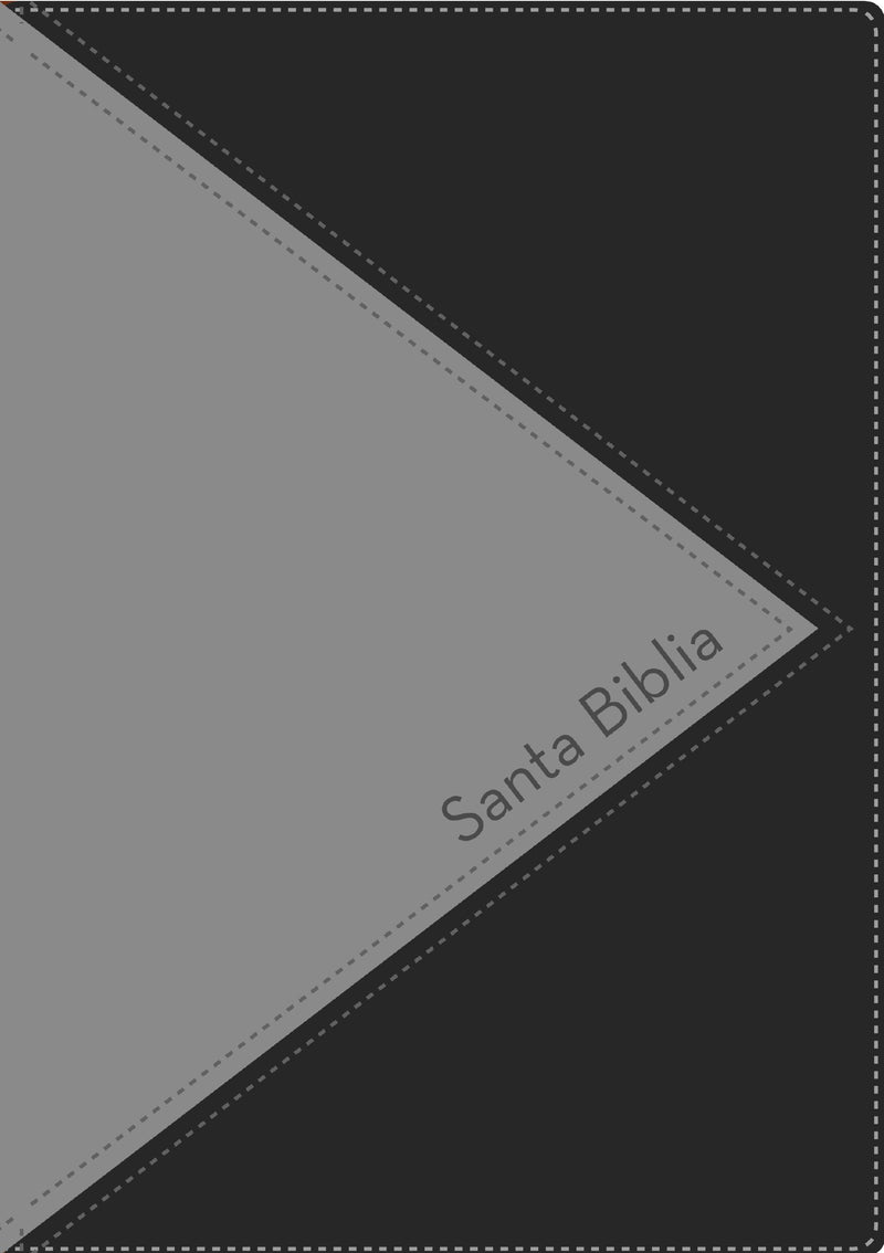 RVR 1960 Biblia de Referencia Thompson Gris Duotono con Indice (Thompson Chain Reference Bible  Gray Duo-Tone)