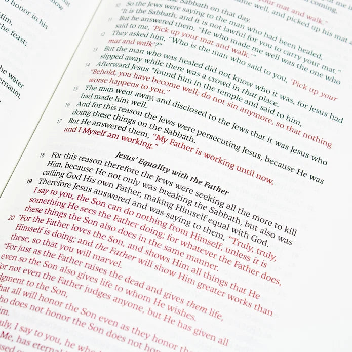 LSB Legacy Standard Large Print Wide Margin Bible Reddish-Brown Faux Leather