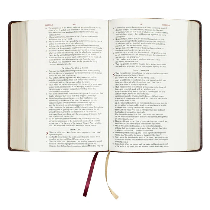 LSB Legacy Standard Large Print Wide Margin Bible Black Indexed