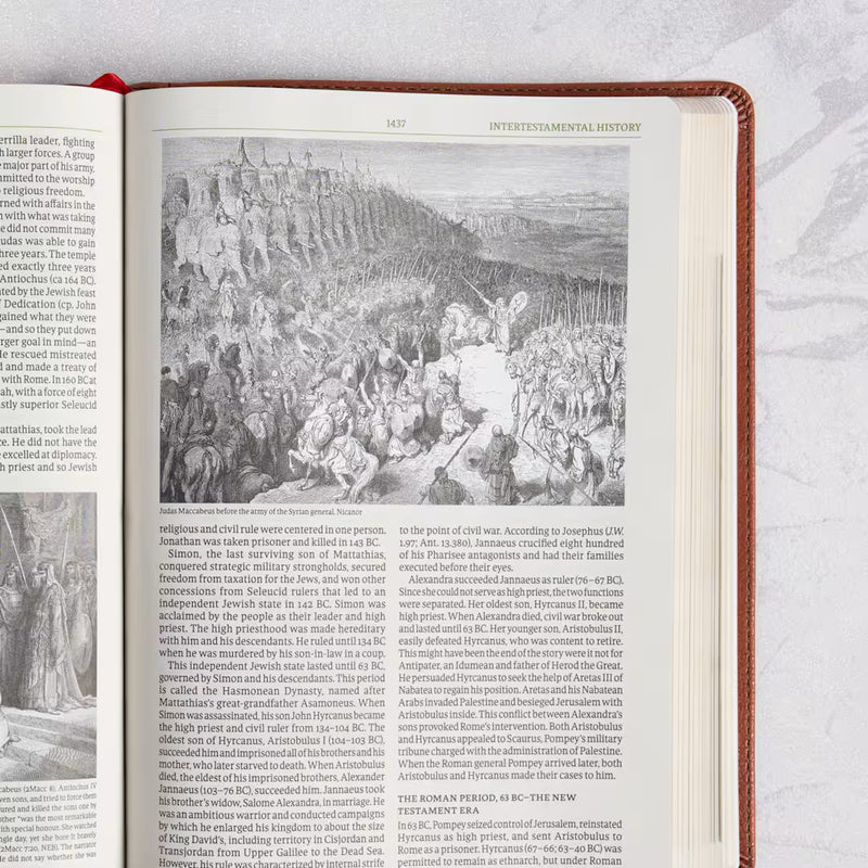 NASB 2020 Study Bible Black Genuine Leather