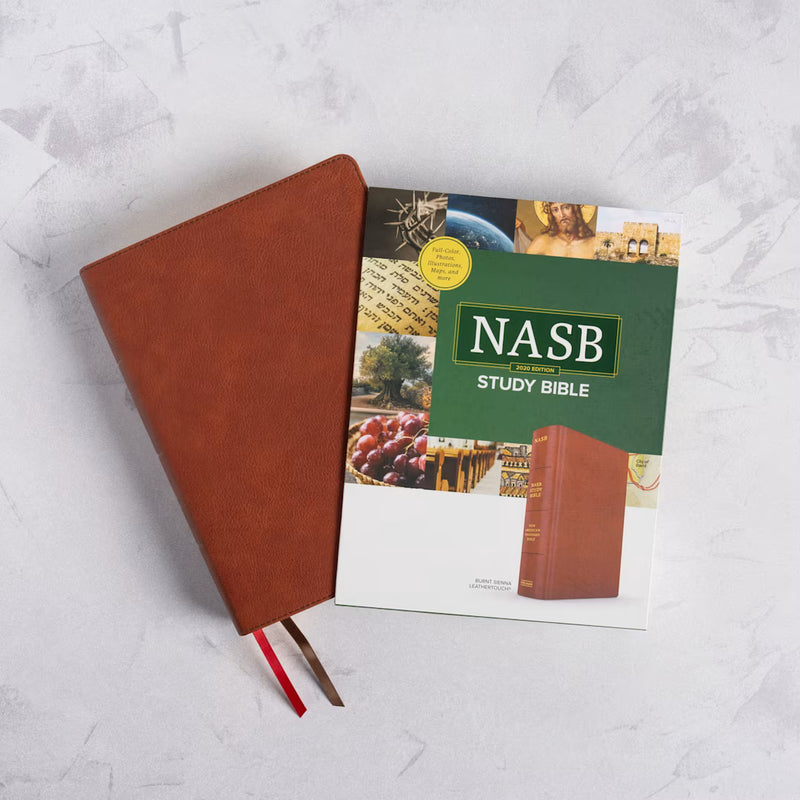 NASB 2020 Study Bible Burnt Sienna Leathertouch