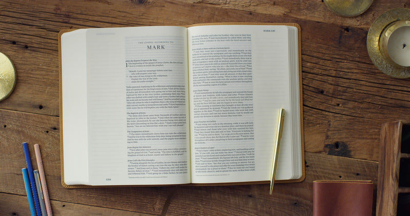 ESV Single Column Large Print Journaling Bible Nubuck Camel TruTone