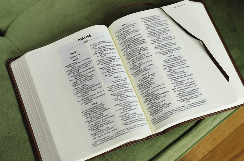 NIV Journal the Word Double-Column Bible Brown Leathersoft