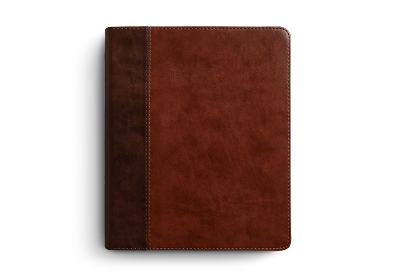 ESV Journaling Bible Brown/Tan TruTone (top*)