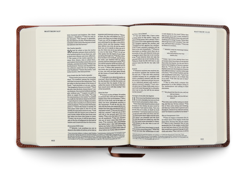 ESV Journaling Bible Brown/Tan TruTone (top*)