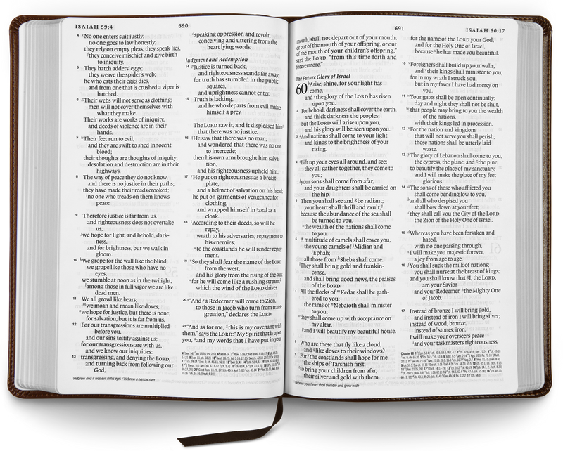 ESV Large Print Thinline Reference Bible Brown/Walnut Leathersoft