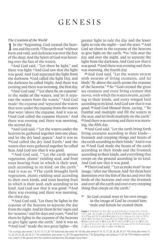 ESV Large Print Thinline Reference Bible Brown/Walnut Leathersoft