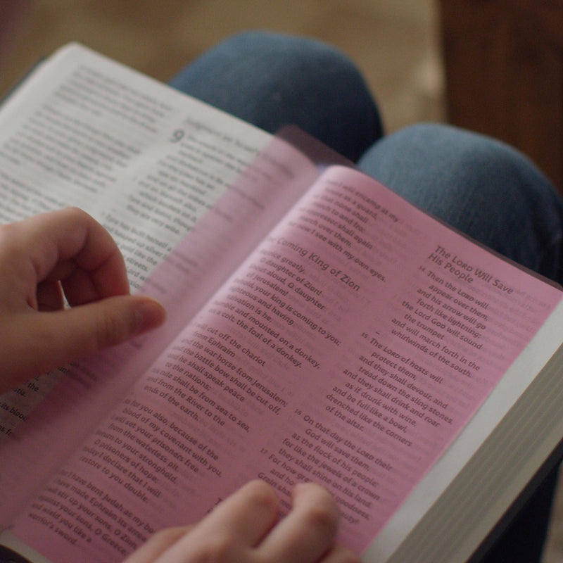 ESV Bible: Dyslexia-Friendly Edition Hardback