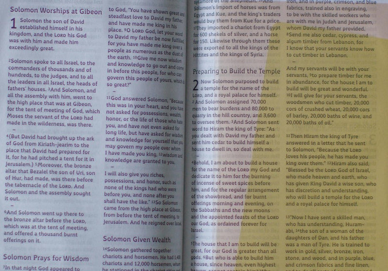 ESV Bible: Dyslexia-Friendly Edition Hardback