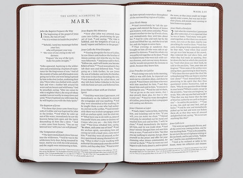 ESV Premium Large Print Church Bible Brown TruTone (black letter)