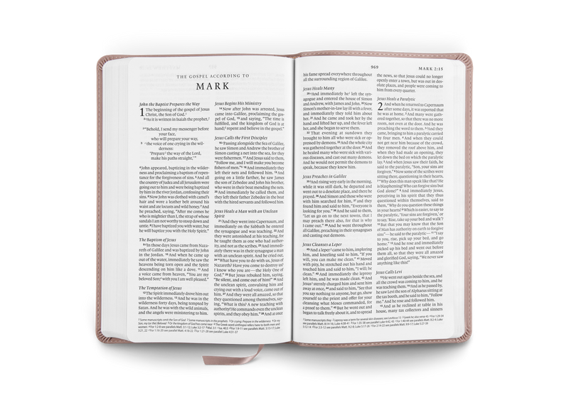 ESV Premium Large Print Church Bible Blush Rose TruTone (black letter)