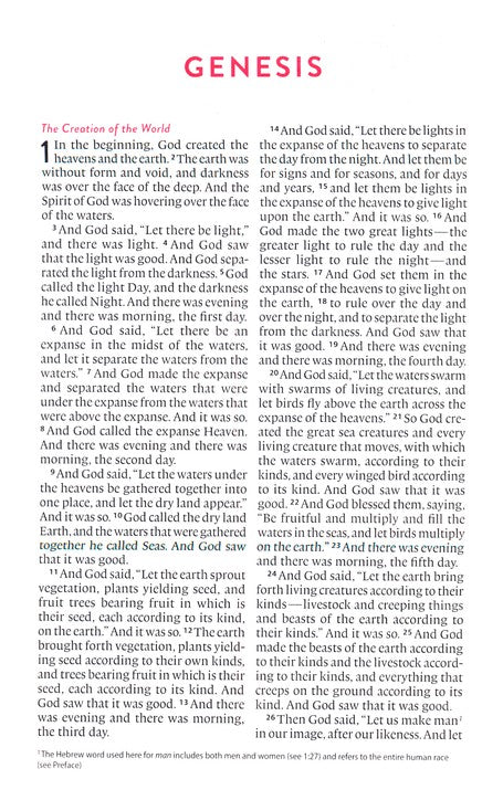 ESV Kid's Thinline Bible, Green Birds of the Air Design