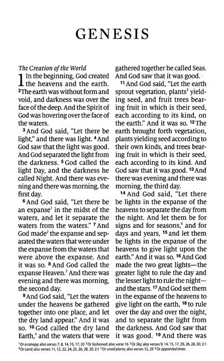 ESV Large Print Personal Size Bible TruTone, Blush Rose