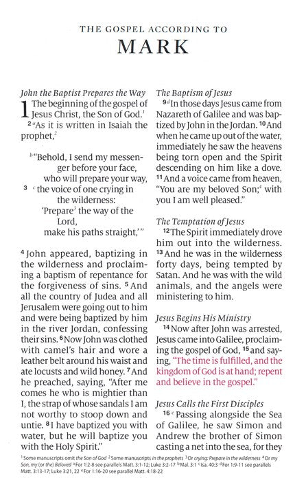 ESV Large Print Personal Size Bible TruTone, Blush Rose