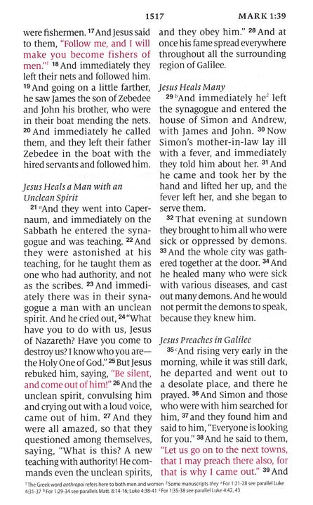 ESV Large Print Personal Size Bible TruTone, Chestnut