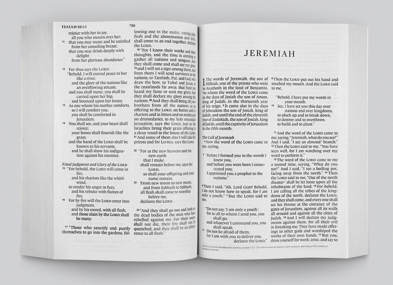 ESV Economy Bible, Giant Print (top - no due date)