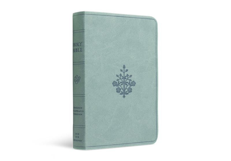 ESV Value Compact Bible Paris Sky TruTone