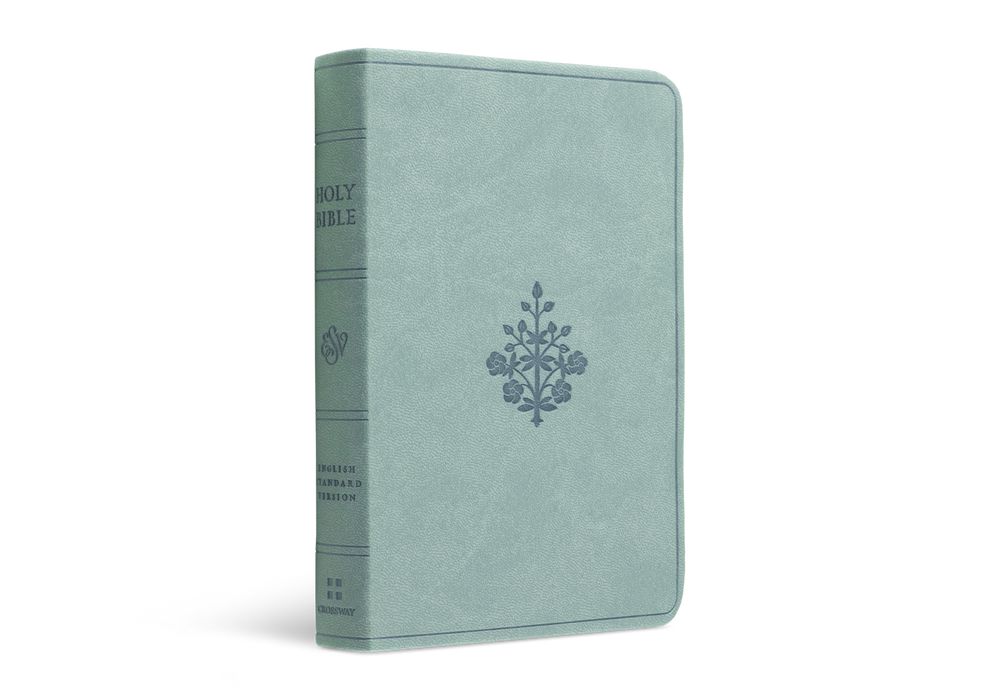 ESV Value Compact Bible Paris Sky TruTone