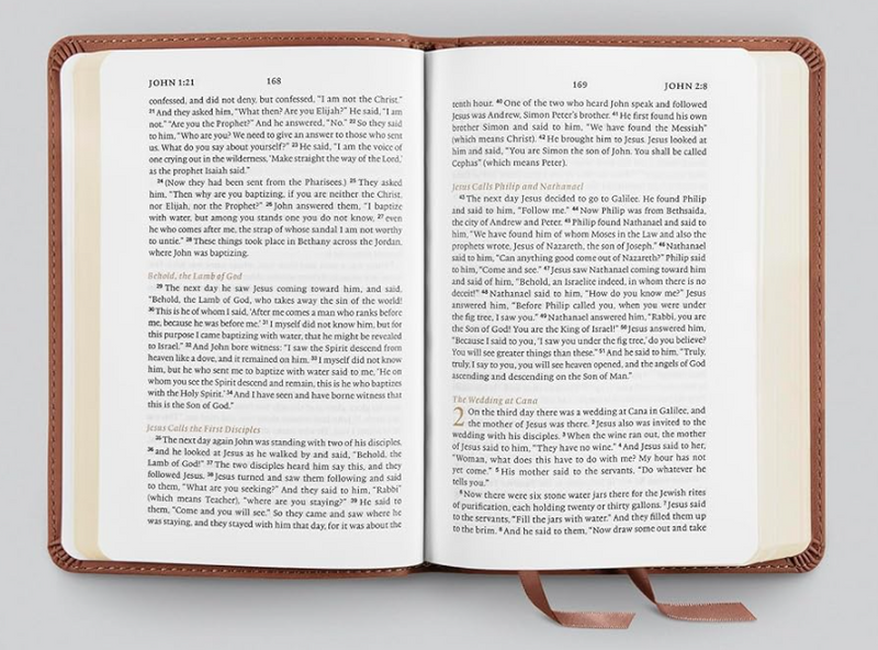 ESV New Testament with Psalms and Proverbs, Chestnut TruTone