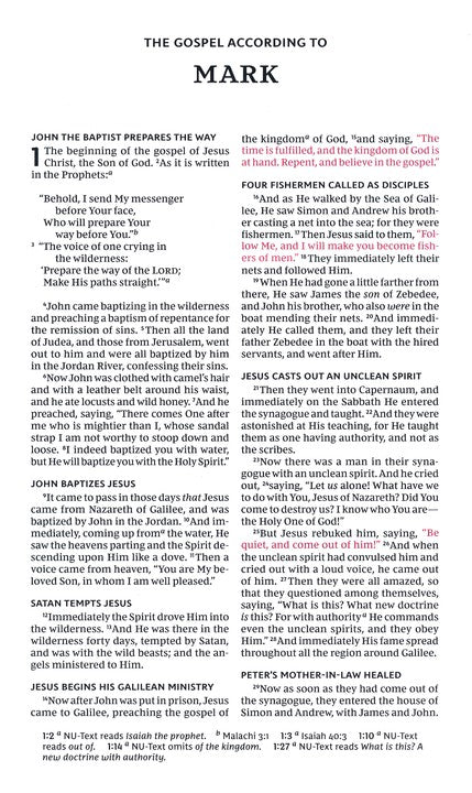 NKJV Thinline Bible Youth Edition Gray Leathersoft