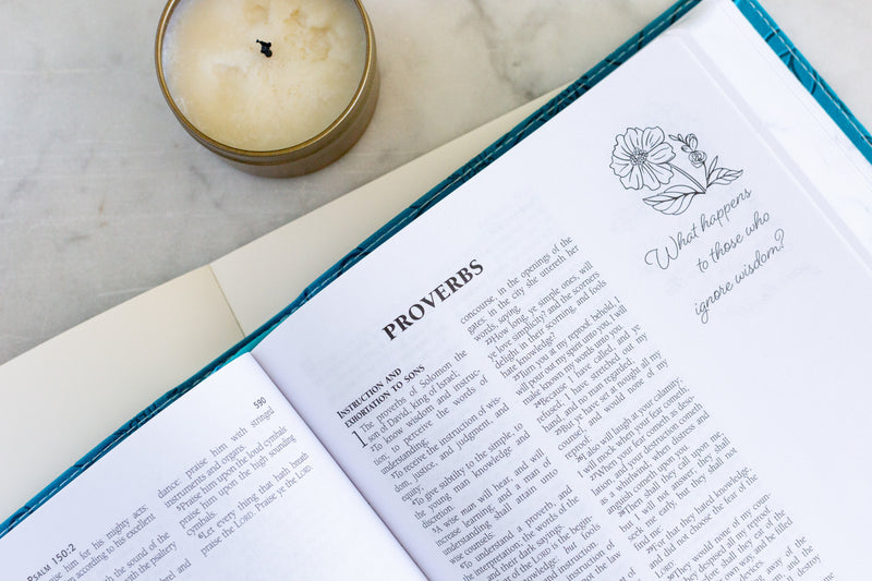 KJV Personal Reflections Bible with Prompts Teal/Tan