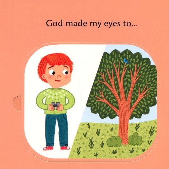 What Are Eyes For? A Lift-the-Flap Board Book