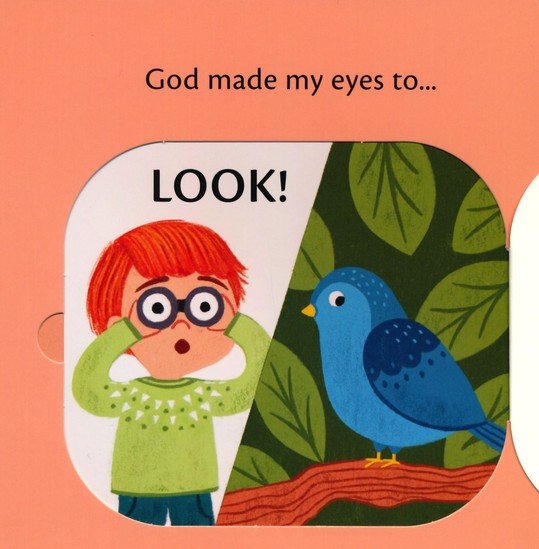 What Are Eyes For? A Lift-the-Flap Board Book