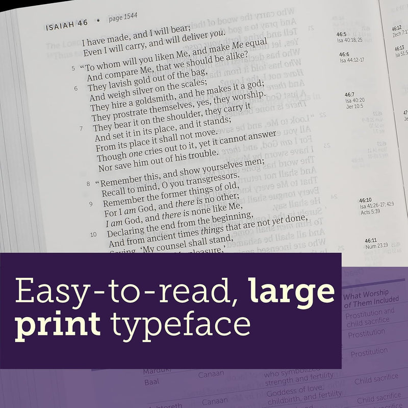 NKJV Large Print Life Application Study Bible Teal