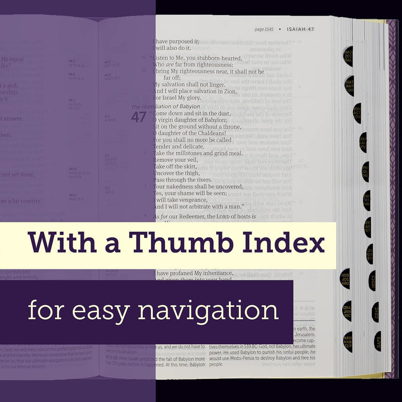 NKJV Large Print Life Application Study Bible Teal Indexed
