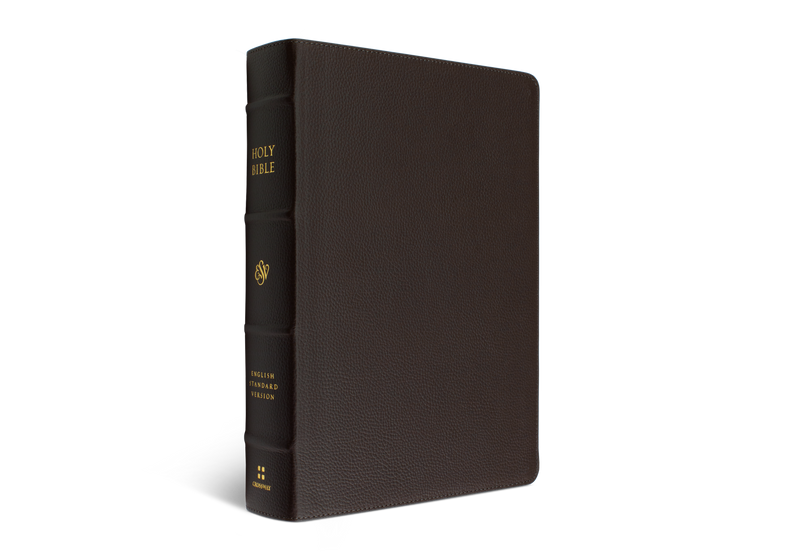ESV Single Column Journaling Bible, Large Print, Deep Brown Buffalo Leather