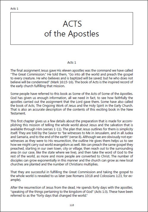 A Year in the New Testament: New Testament Chapter Summaries