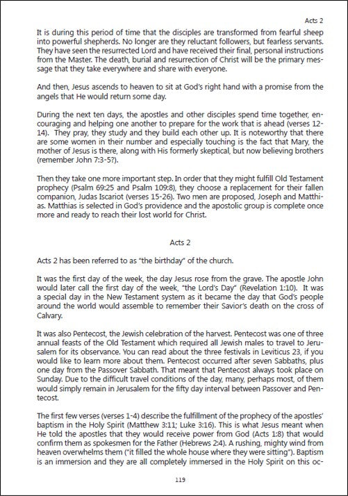 A Year in the New Testament: New Testament Chapter Summaries