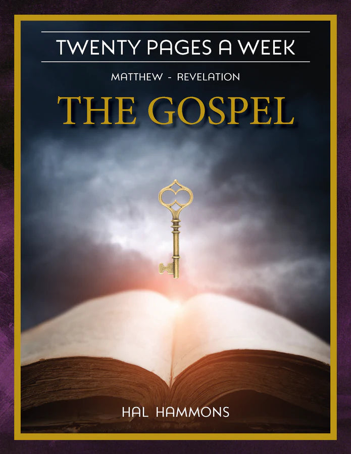 Twenty Pages a Week: Vol. 4 - The Gospel (Matthew-Revelation)