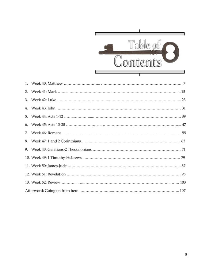 Twenty Pages a Week: Vol. 4 - The Gospel (Matthew-Revelation)